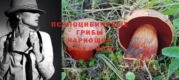 эйфоретик Белокуриха
