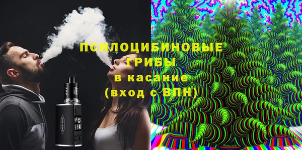 эйфоретик Белокуриха