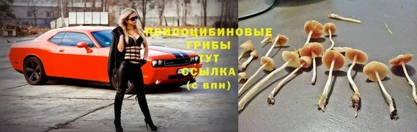 jwh Беломорск