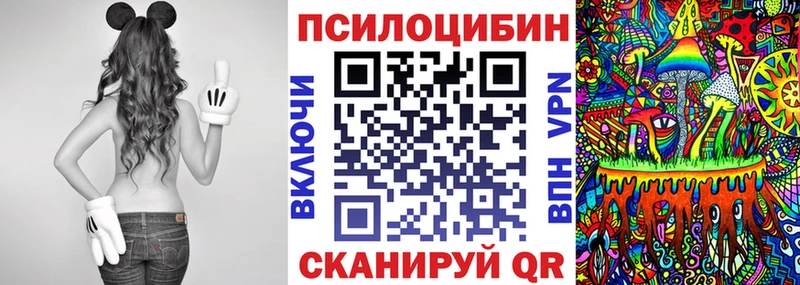 kraken вход  Дагестанские Огни  Галлюциногенные грибы MAGIC MUSHROOMS 